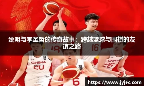 KY体育·(中国)官方网站