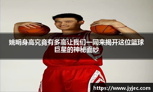 KY体育·(中国)官方网站