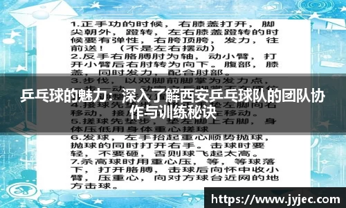 KY体育官方网站